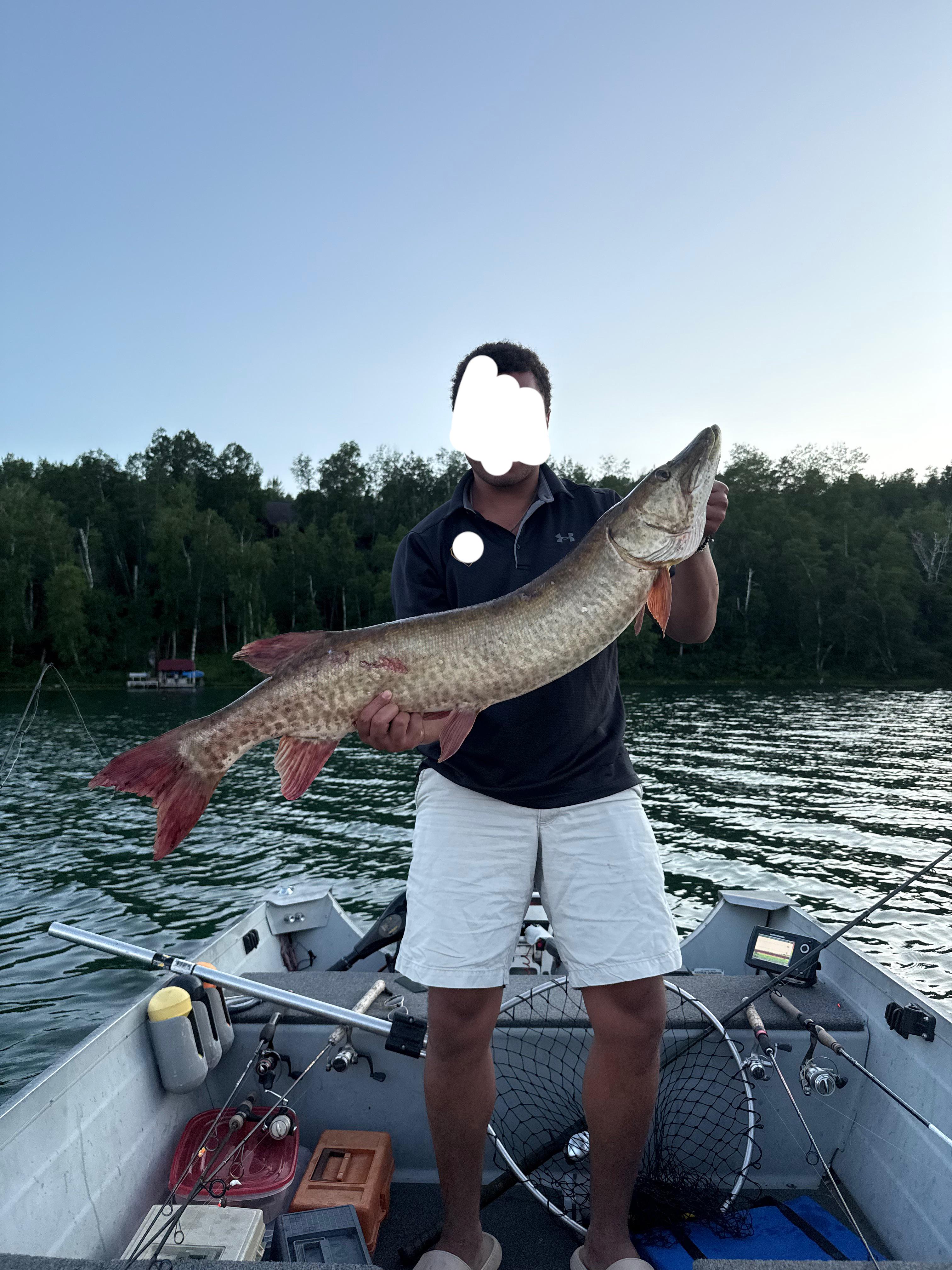 Fish Catch 7