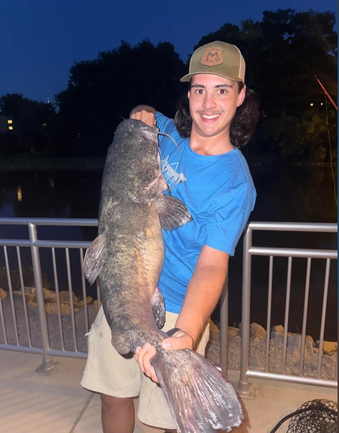 Fish Catch 15