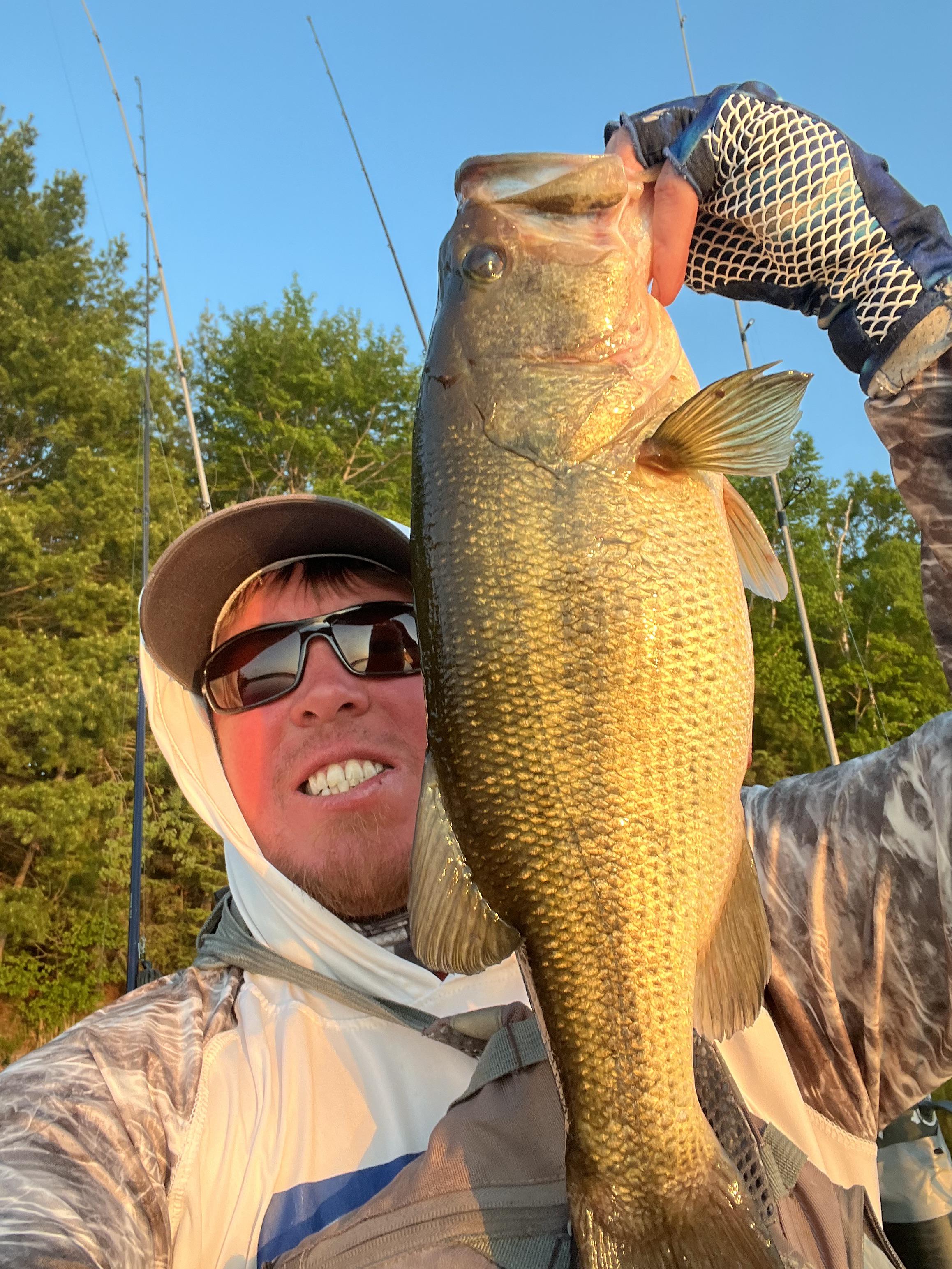 Fish Catch 12