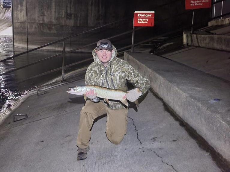 Fish Catch 1