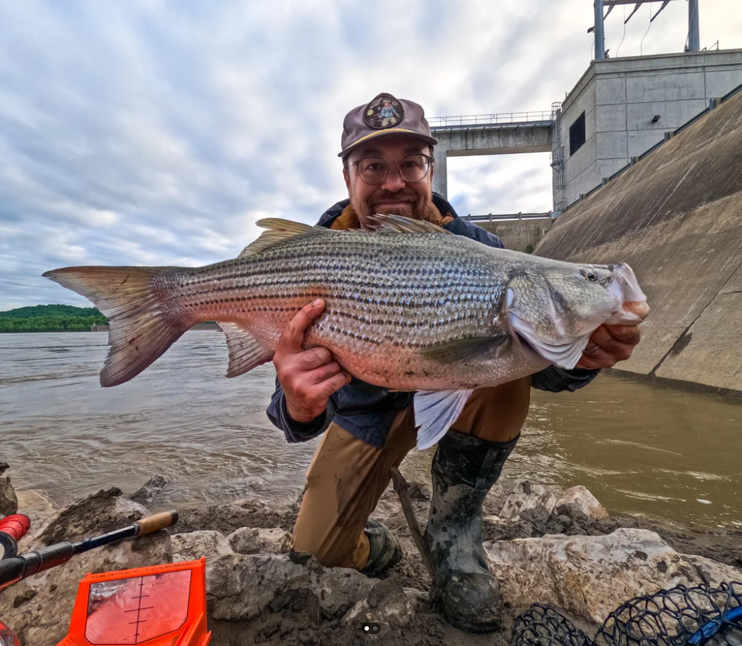 Fish Catch 11