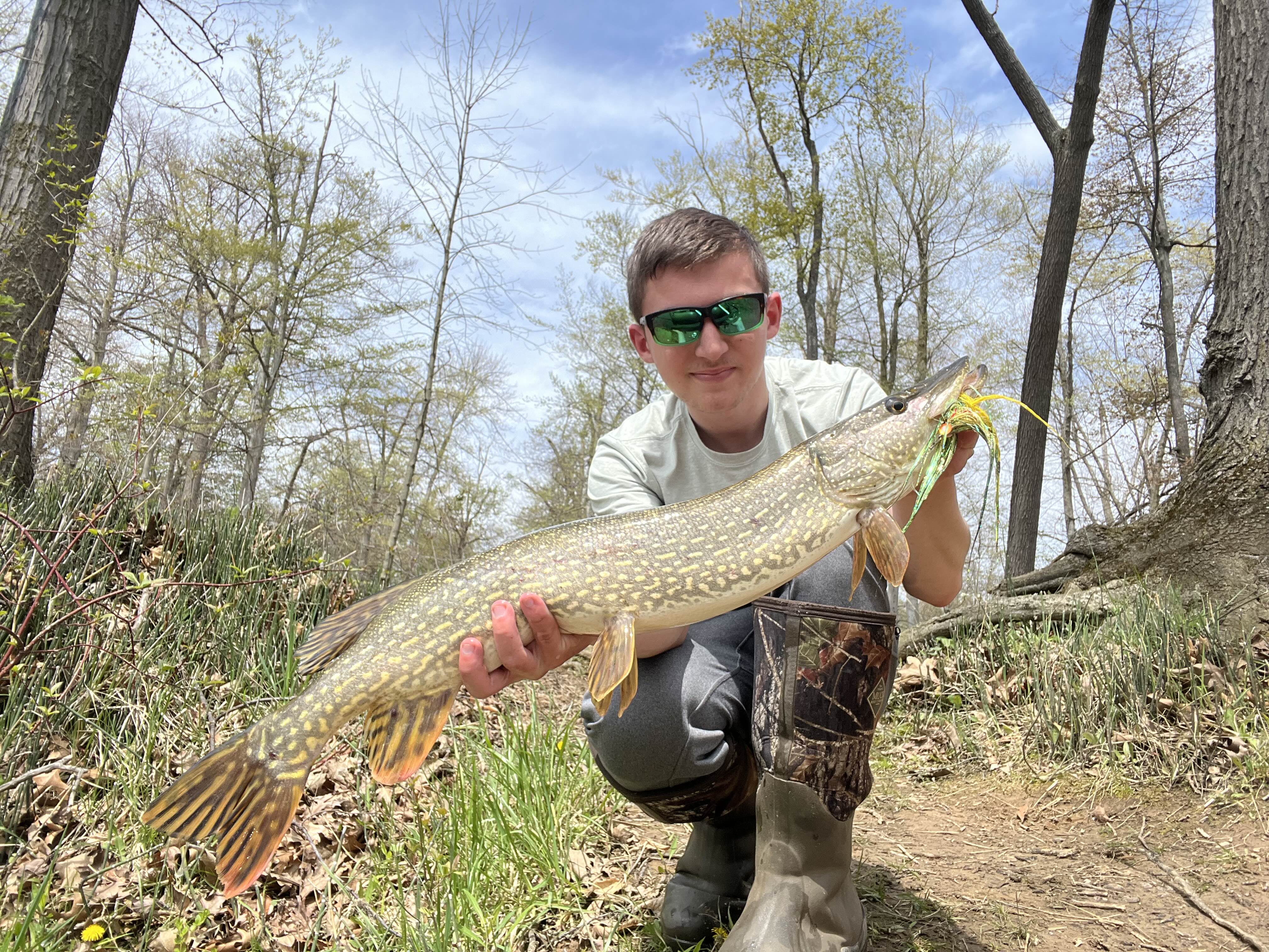 Fish Catch 9