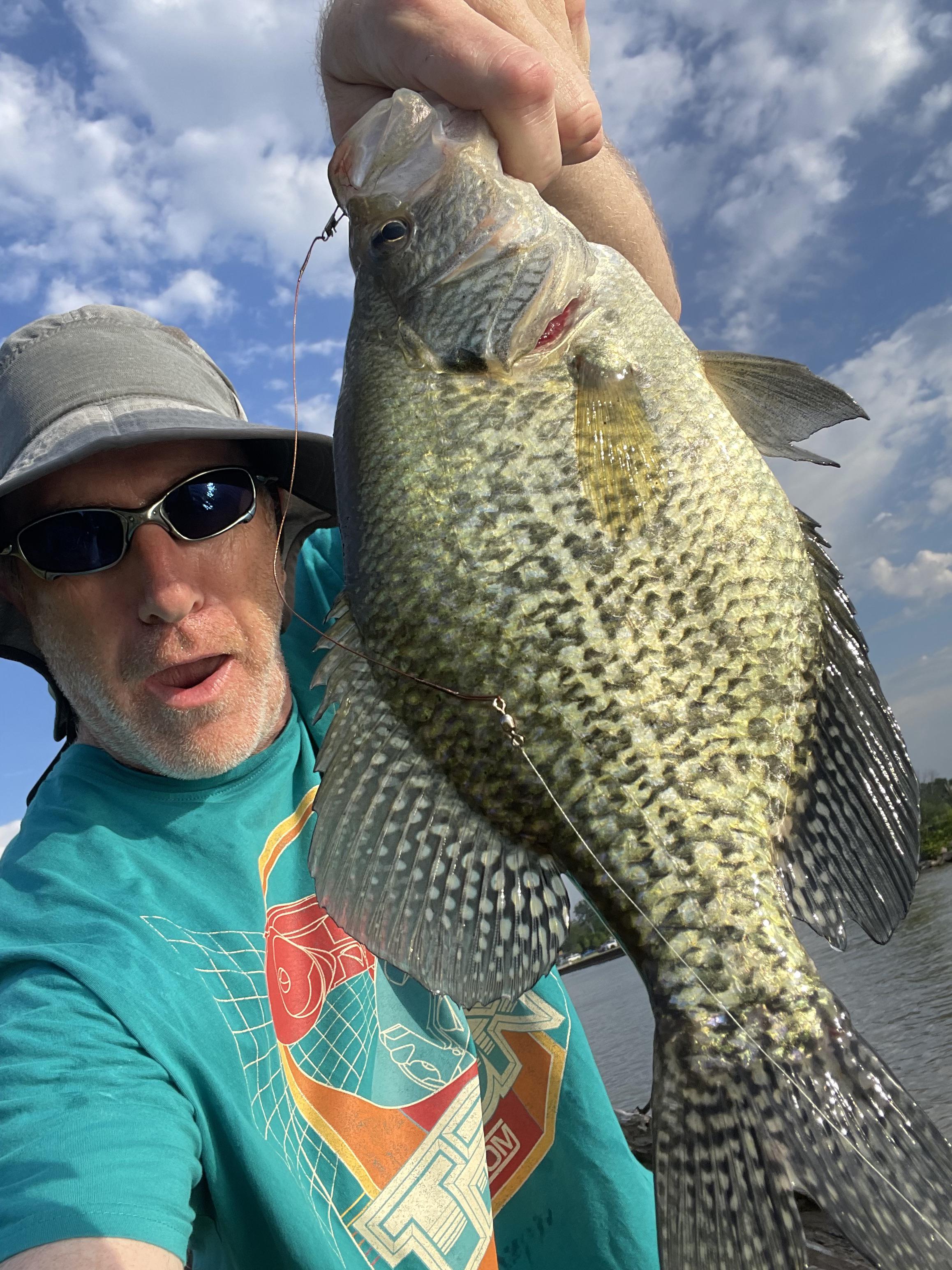 Fish Catch 14